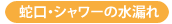 蛇口・シャワーの漏れ